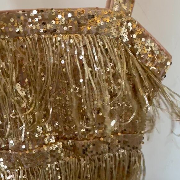 Fringe Trim Sequin Cami Mini Dress - Picture 2 of 8